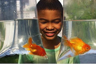 忙于改BUG？R星推迟《GTA三部曲-终极版》实体版