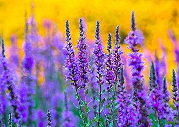 玩家对《龙腾世纪：起源》续作期待损害了2代口碑